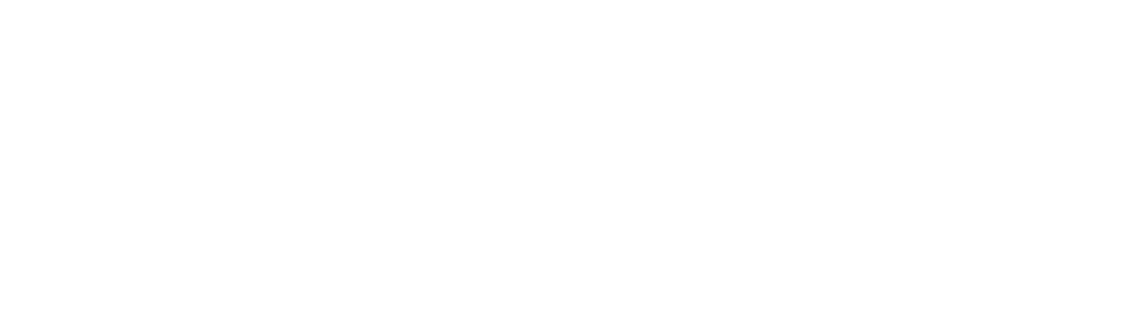 logo light